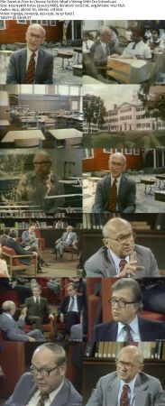 Free to Choose 1980 DVDRip XVID-NOGRP