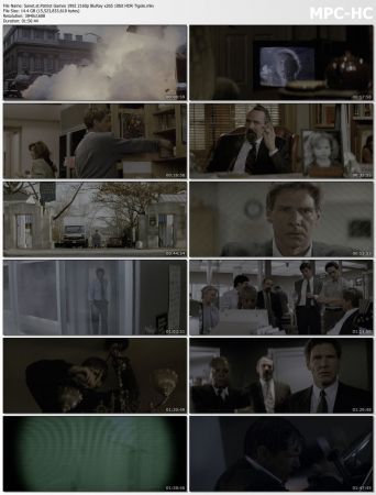 Patriot Games 1992 2160p BluRay x265 10bit HDR Tigole