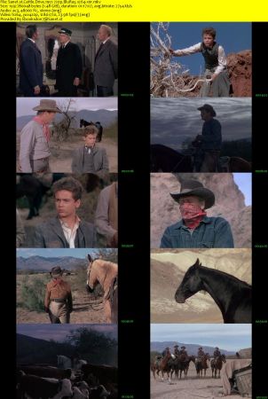 Cattle Drive 1951 720p BluRay x264-x0r