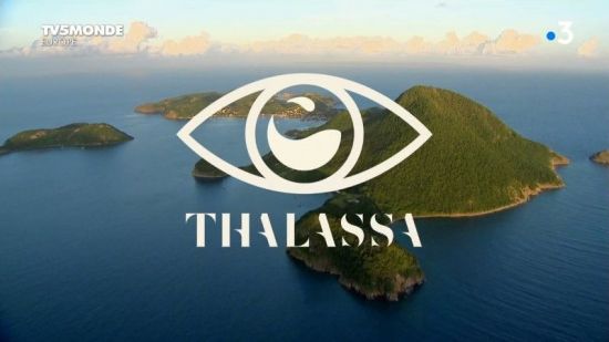 TV5Monde Thalassa - Guadeloupe et Martinique, les soeurs des Antilles (2020) 720p x265 AAC MVGroup