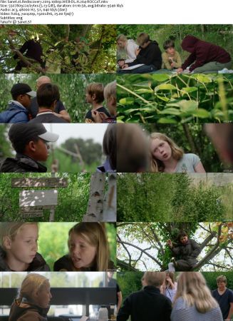 Rediscovery 2019 1080p WEB-DL H264-ROCCaT