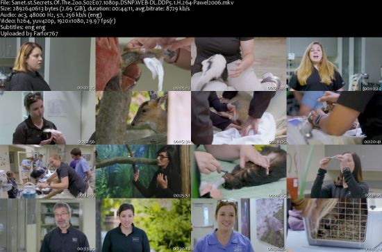 Secrets Of The Zoo S02 1080p DSNP WEBRip DDP5.1 x264-pawel2006