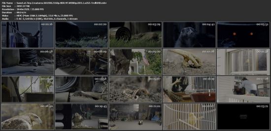 Tiny Creatures S01 2160p NF WEBRip x265 10bit HDR DDP5.1-TrollUHD