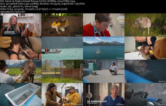 Alaska Animal Rescue S01 WEBRip x264-ION10