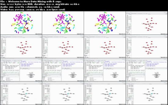  More Data Mining with R 