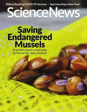Science News   1 August 2020