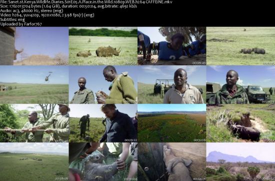 Kenya Wildlife Diaries S01 1080p WEBRip DD2.0 x264-CAFFEiNE