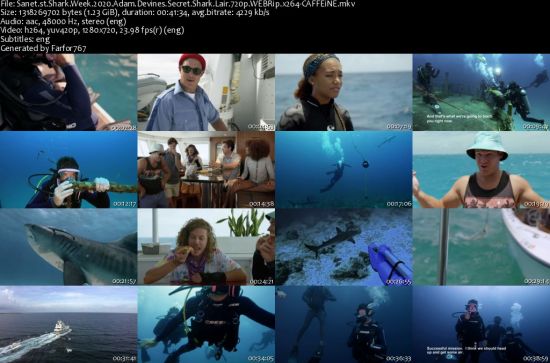 Shark Week 2020 Adam Devines Secret Shark Lair 720p WEBRip x264-CAFFEiNE