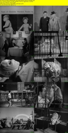 Captive Wild Woman 1943 1080p BluRay H264 AAC-RARBG