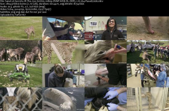 Secrets Of The Zoo S01 1080p DSNP WEBRip DDP5.1 x264-pawel2006