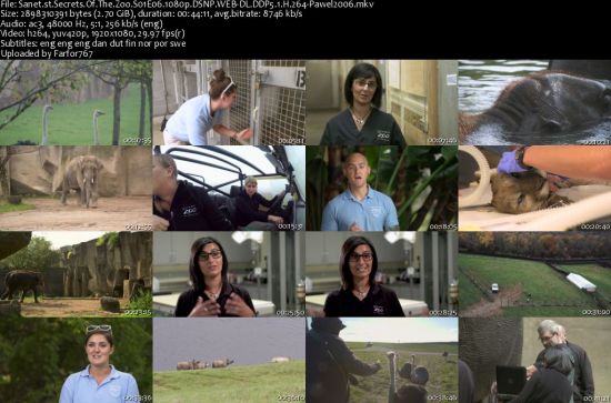 Secrets Of The Zoo S01 1080p DSNP WEBRip DDP5.1 x264-pawel2006