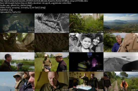 Buried Secrets of WWII S01 WEBRip AAC2.0 x264-CAFFEiNE