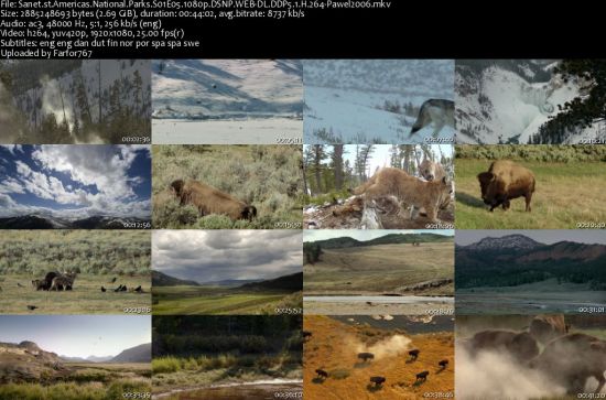 Americas National Parks S01 1080p DSNP WEBRip DDP5.1 x264-pawel2006