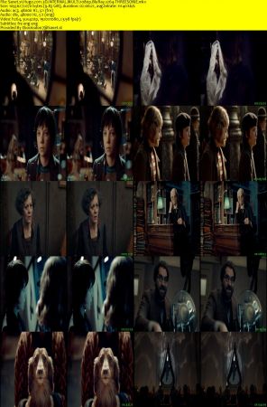Hugo 2011 3D iNTERNAL MULTi 1080p BluRay x264-THREESOME