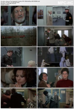The Cassandra Crossing 1976 1080p BluRay x265-RARBG