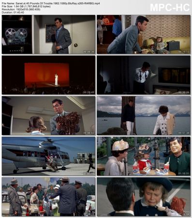 40 Pounds Of Trouble 1962 1080p BluRay x265-RARBG