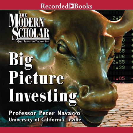 Big Picture Investing[Audiobook]
