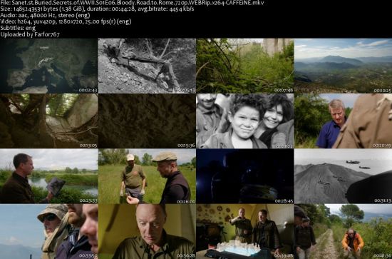Buried Secrets of WWII S01 720p WEBRip AAC2.0 x264-CAFFEiNE
