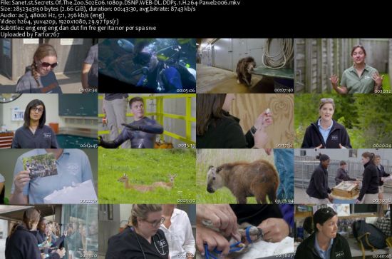 Secrets Of The Zoo S02 1080p DSNP WEBRip DDP5.1 x264-pawel2006