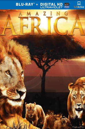 Amazing Africa 3D 2011 720p BluRay x264 AAC-YTS