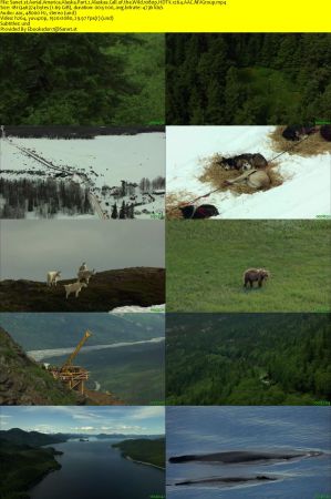 Smithsonian Ch. - Aerial America: Alaska (2014) 1080p HDTV x264 AAC MVGroup