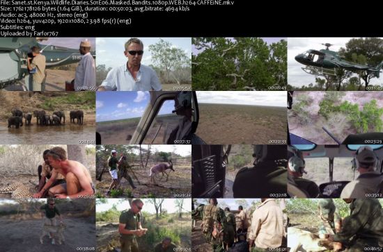 Kenya Wildlife Diaries S01 1080p WEBRip DD2.0 x264-CAFFEiNE