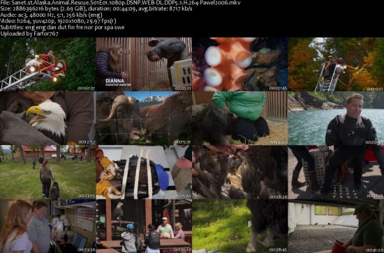 Alaska Animal Rescue S01 1080p DSNP WEBRip DDP5.1 x264-pawel2006