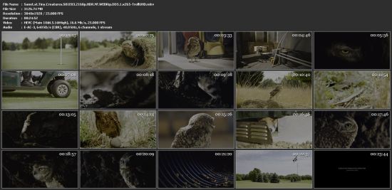 Tiny Creatures S01 2160p NF WEBRip x265 10bit HDR DDP5.1-TrollUHD