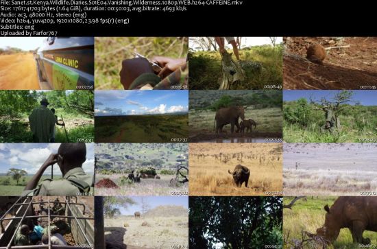 Kenya Wildlife Diaries S01 1080p WEBRip DD2.0 x264-CAFFEiNE