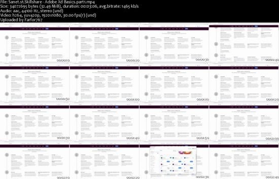 Skillshare - Adobe Xd Basics