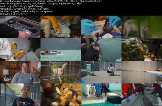 Alaska Animal Rescue S01 1080p DSNP WEBRip DDP5.1 x264-pawel2006