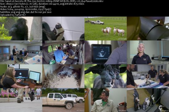 Secrets Of The Zoo S02 1080p DSNP WEBRip DDP5.1 x264-pawel2006