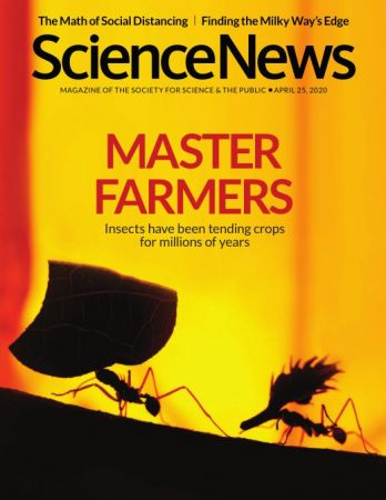 Science News   25 April 2020