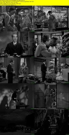 Tokyo Joe 1949 BRRip XviD MP3-XVID