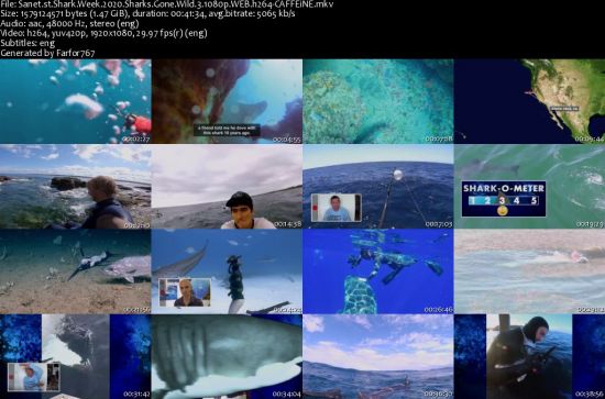 Shark Week 2020 Sharks Gone Wild 3 1080p WEB h264-CAFFEiNE