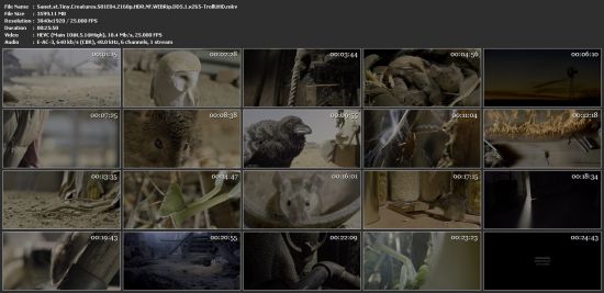 Tiny Creatures S01 2160p NF WEBRip x265 10bit HDR DDP5.1-TrollUHD