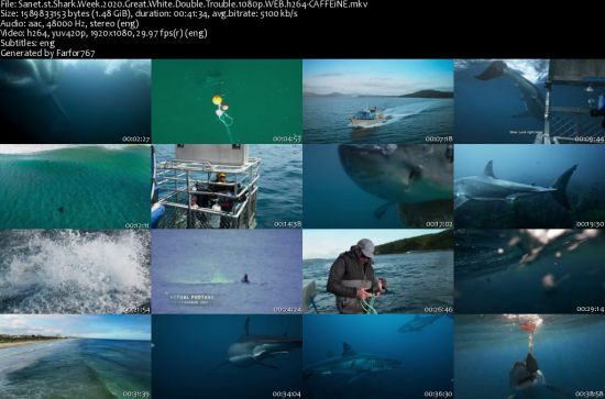Shark Week 2020 Great White Double Trouble 1080p WEB h264-CAFFEiNE