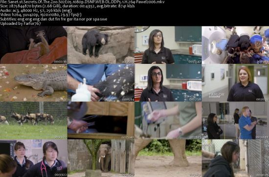 Secrets Of The Zoo S02 1080p DSNP WEBRip DDP5.1 x264-pawel2006