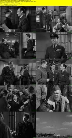 The Way to the Stars 1945 BRRip XviD MP3-XVID