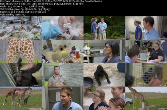 Secrets Of The Zoo S02 1080p DSNP WEBRip DDP5.1 x264-pawel2006