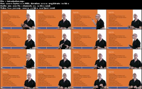 Oracle PL/SQL Fundamentals &amp; Database Design--3course bundle 