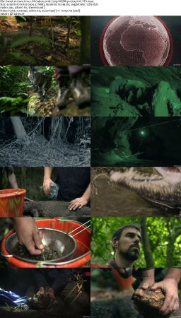 Cave Crocs Of Gabon 2018 720p WEBRip x264 AAC-YTS