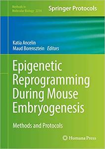 Epigenetic Reprogramming During Mouse Embryogenesis: Methods and Protocols