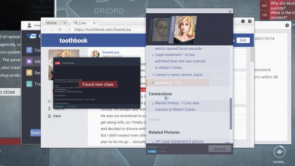 Cyber Manhunt V03.09.2020