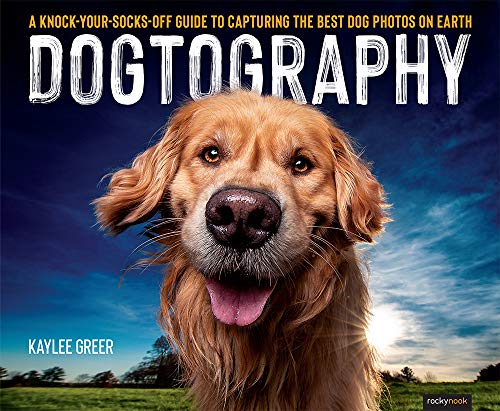 Dogtography: A Knock Your Socks Off Guide to Capturing the Best Dog Photos on Earth
