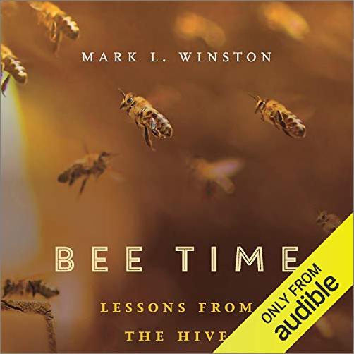 Bee Time: Lessons from the Hive [Audiobook]