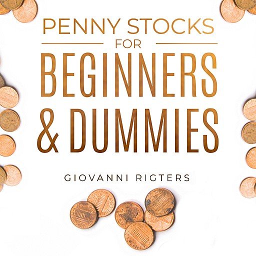 Penny Stock for Beginners & Dummies (Audiobook)