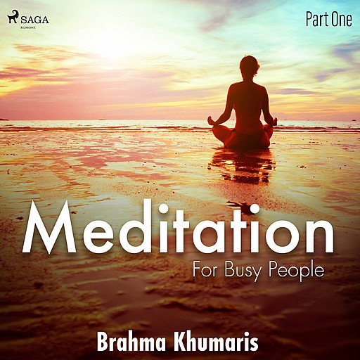 Meditation for Busy People: Part One (Audiobook)