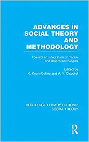 Advances in Social Theory and Methodology