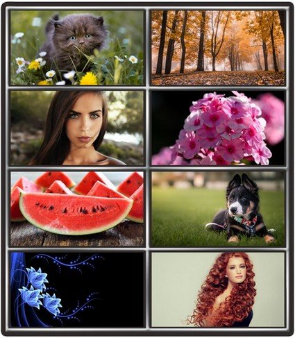Collection wallpapers to your desktop #865